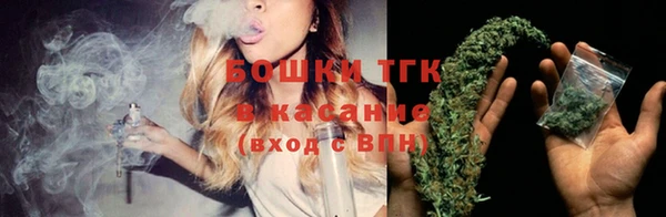 трава Елизово