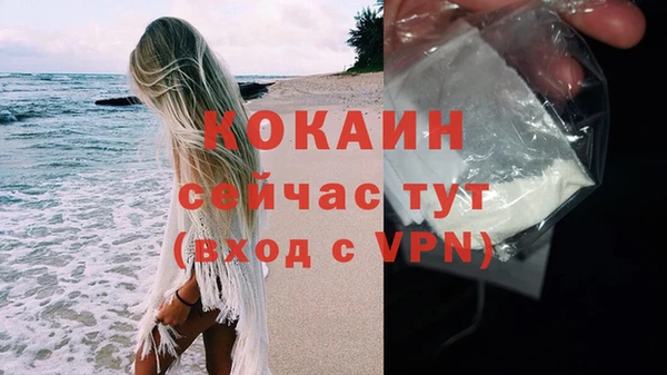 трава Елизово