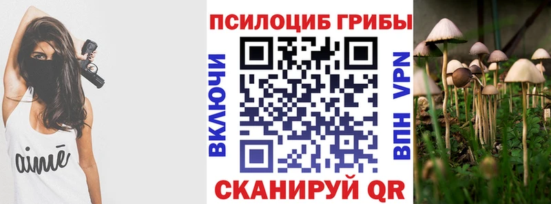 Галлюциногенные грибы Psilocybine cubensis  Купить закладки  Инта 