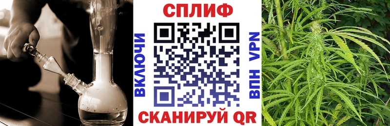 Купить  Инта  Шишки марихуана Bruce Banner 